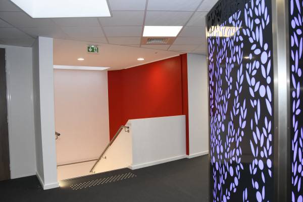 couleurs tendance 2024 intérieur